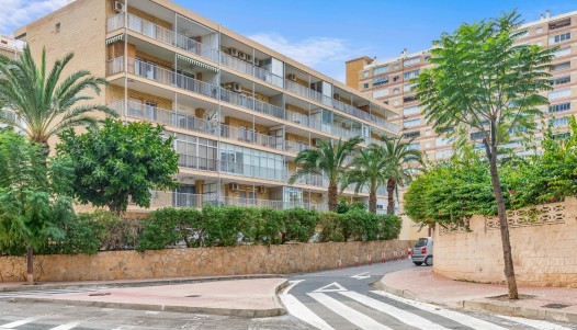 Apartment - Revente - Playa San Juan - CBE02-090