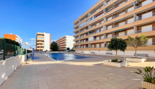 Apartament - Rynek wtórny - Orihuela Costa - CBE02-253