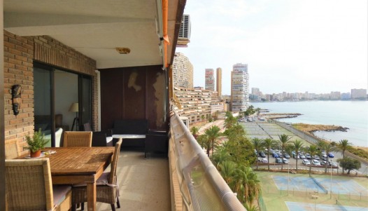 Leilighet - Brukte Boliger - Alicante - CBE02-007