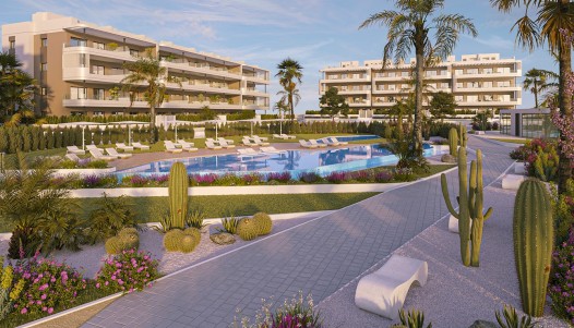 Parter - Rynek pierwotny - Torrevieja - Lago Rosa de Torrevieja