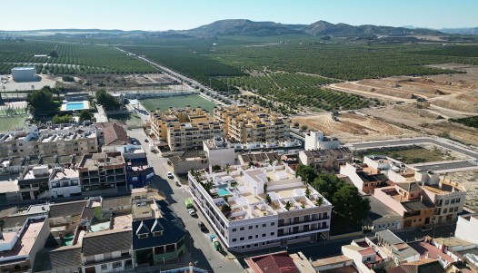 Planta Baja  - Nueva construcción  - Algorfa - Algorfa