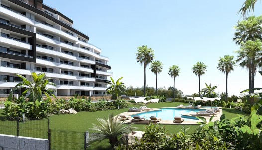 Planta Baja  - Nueva construcción  - San Miguel de Salinas - CBE01-2187