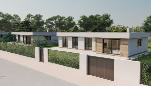Villa - New Build - Calasparra - CBE01-769