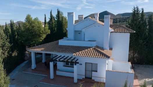 Villa - New Build - Las Palas - Valle de Mingrano