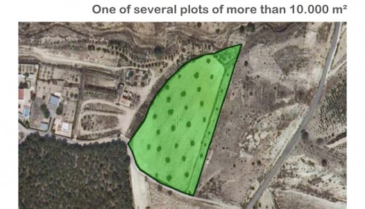 Villa - Nouvelle construction - Sax - NV-80842