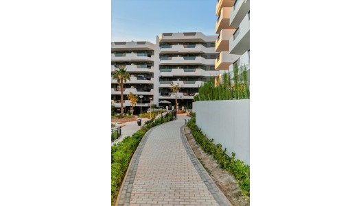 Brukte Boliger - Leilighet - Arenales del Sol