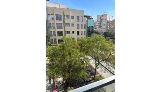 Nowa konstrukcja - Apartament - Elche