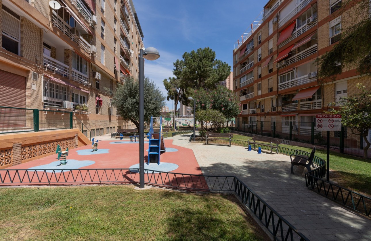 Segunda mano - Apartamento - Alicante - Alipark