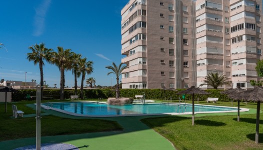 Resale - Apartment - Urbanova - Urbanova 8