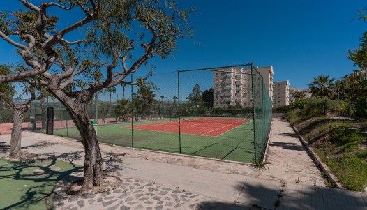 Segunda mano - Apartamento - Urbanova - Urbanova 8