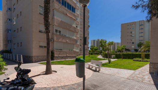 Resale - Apartment - Urbanova - Urbanova 8