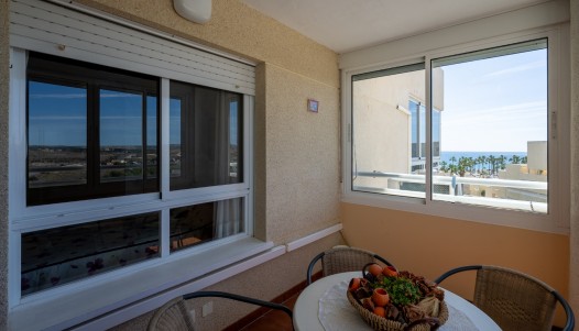 Resale - Apartment - Urbanova - Urbanova 8