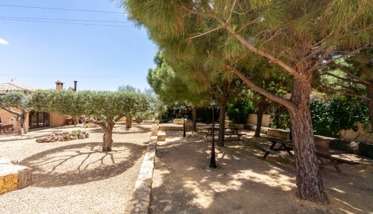 Segunda mano - Chalet independiente  - San Vicente de Raspeig