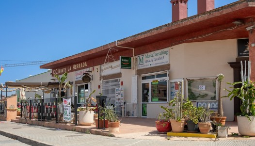 Segunda mano - Chalet Pareado - Los Montesinos - La Herrada