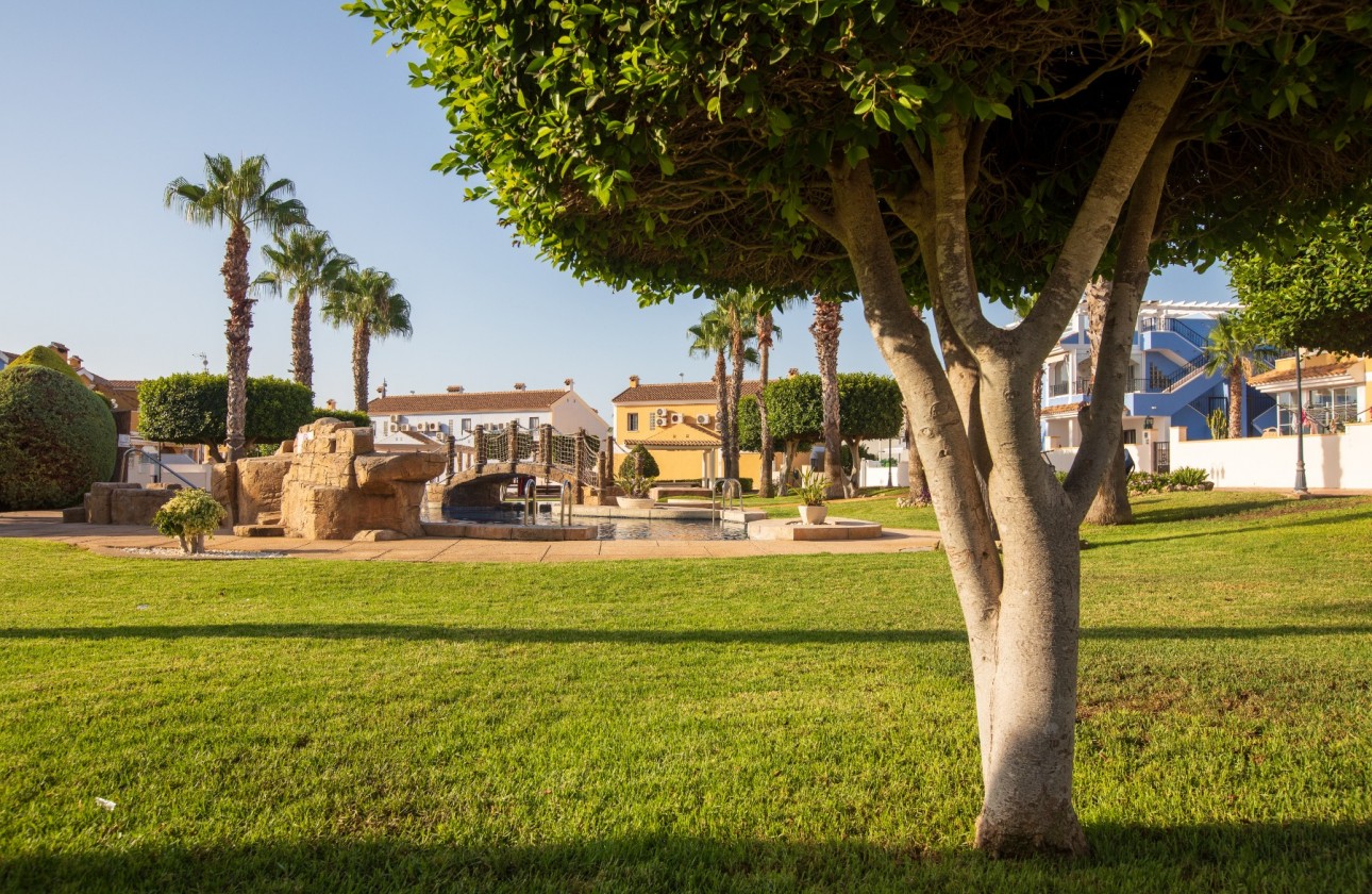 Segunda mano - Adosado - Orihuela Costa - Lomas De Cabo Roig