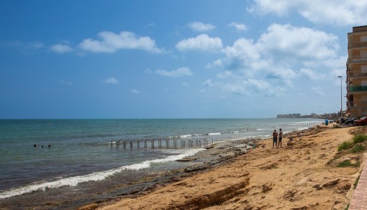 Brukte Boliger - Leilighet - Torrevieja - Playa de los Náufragos