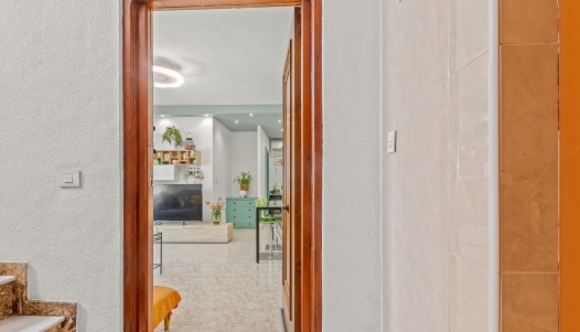 Revente - Apartment - Torrevieja - Playa de los Náufragos