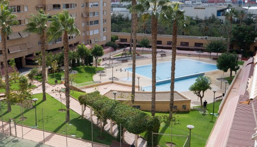 Segunda mano - Apartamento - Alicante - San Gabriel