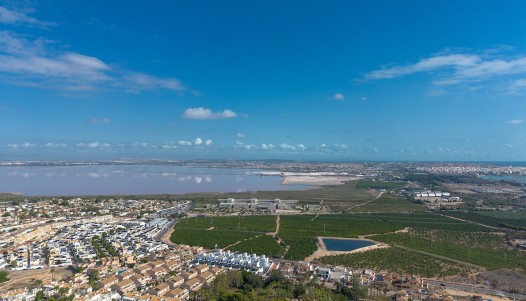 Segunda mano - Bungalow - Torrevieja - Los Altos