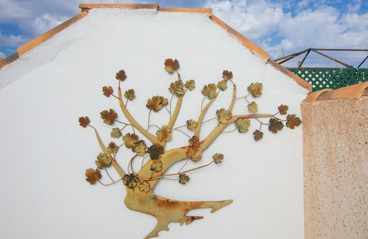 Sprzedaż - Willa / bliźniak - Orihuela Costa - Playa Flamenca