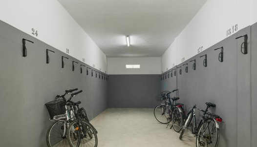 New Build - Bottenvåning  - Pilar de la Horadada