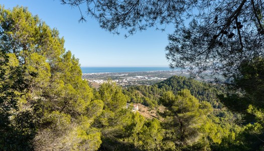 Segunda mano - Chalet independiente  - Oliva - Urb. Tossal Gross