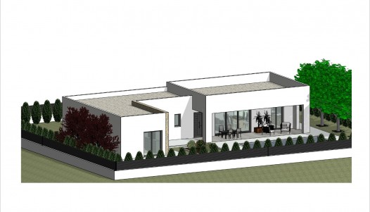 Nouvelle construction - Villa - Pinoso