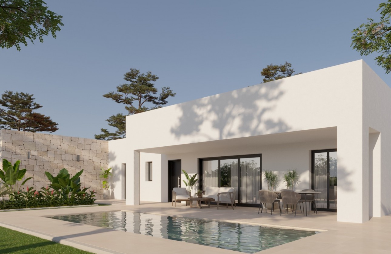 Nouvelle construction - Villa - Pinoso