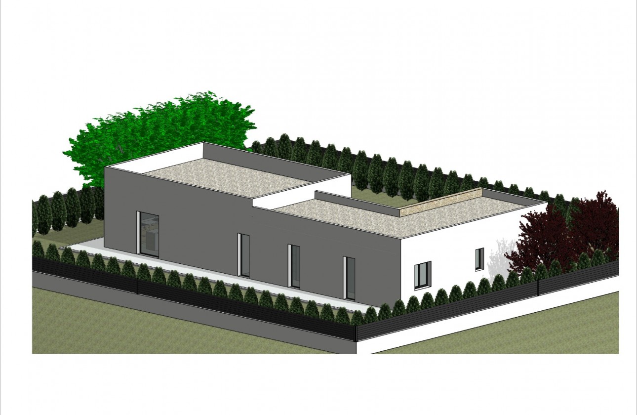 Nouvelle construction - Villa - Pinoso