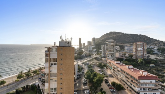 Brukte Boliger - Toppleilighet - Alicante - Playa de la Albufereta