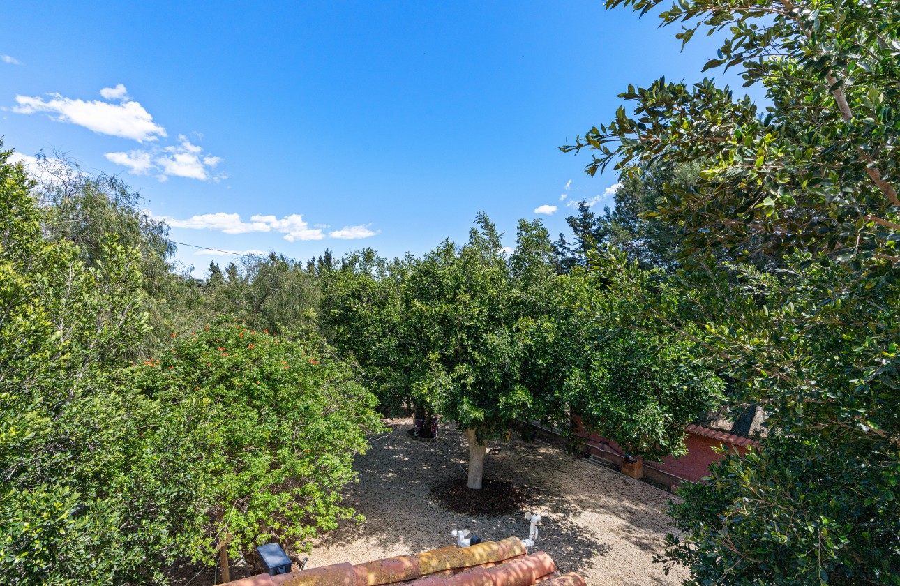 Segunda mano - Chalet independiente  - El Altet - San Francisco de Asis