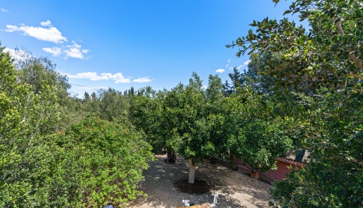 Segunda mano - Chalet independiente  - El Altet - San Francisco de Asis