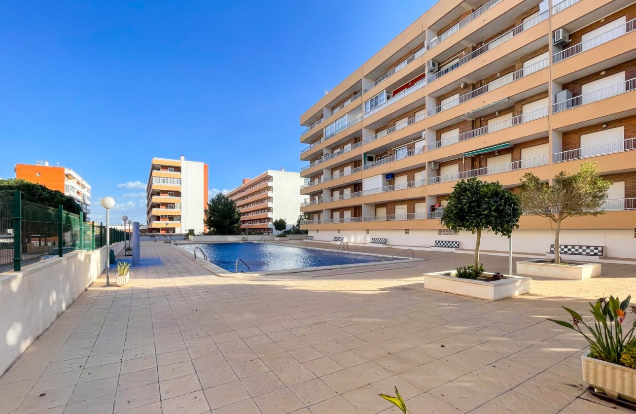 Segunda mano - Apartamento - Orihuela Costa - Punta Prima