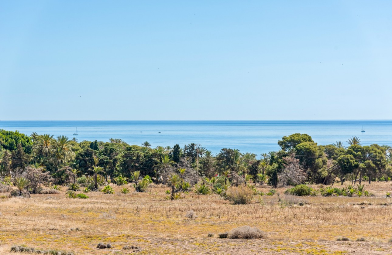 Segunda mano - Apartamento - Orihuela Costa - Punta Prima