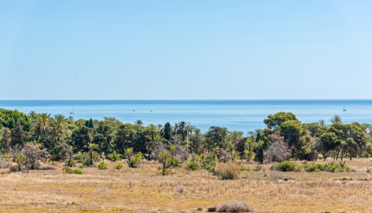 Segunda mano - Apartamento - Orihuela Costa - Punta Prima