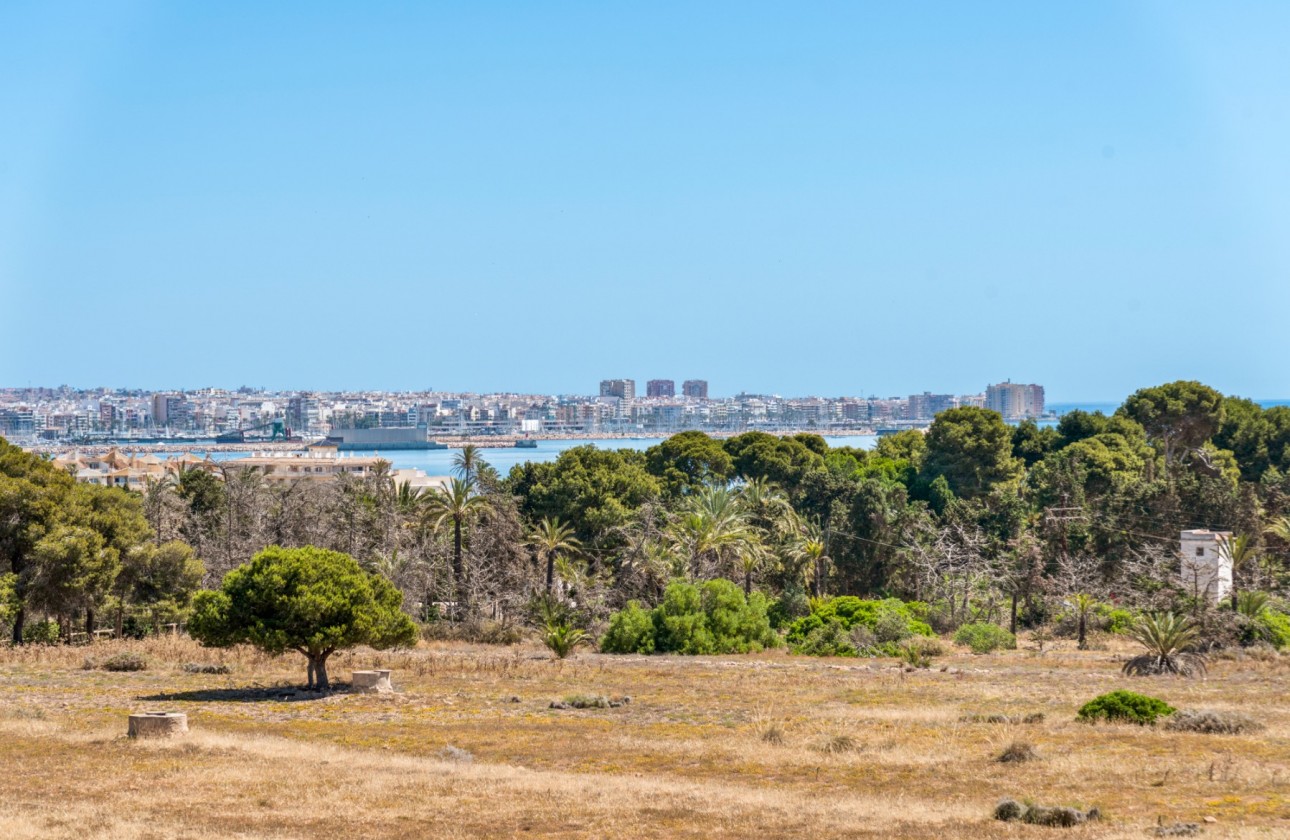Segunda mano - Apartamento - Orihuela Costa - Punta Prima