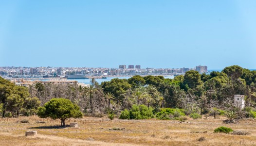 Segunda mano - Apartamento - Orihuela Costa - Punta Prima