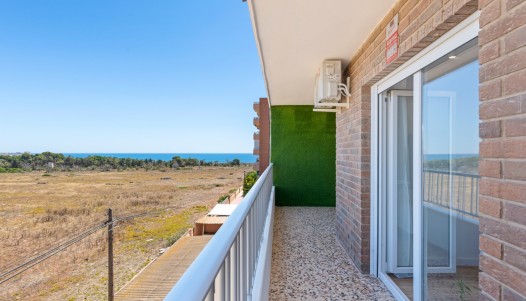 Segunda mano - Apartamento - Orihuela Costa - Punta Prima