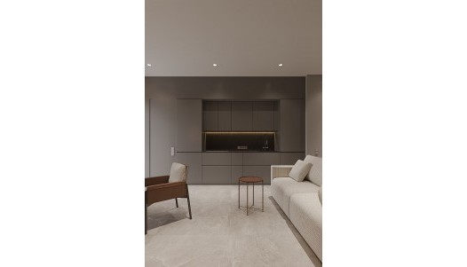 Nueva construcción  - Loft - Torrevieja - Playa de los Locos