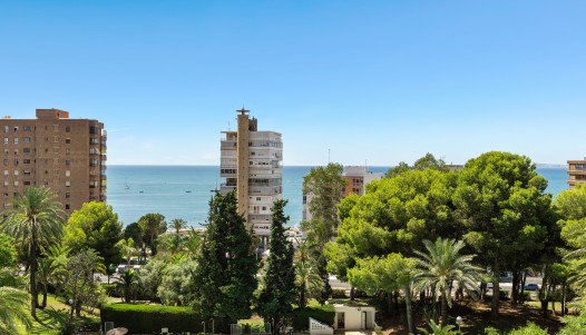 Rynek wtórny - Apartament - Alicante - Playa de la Albufereta