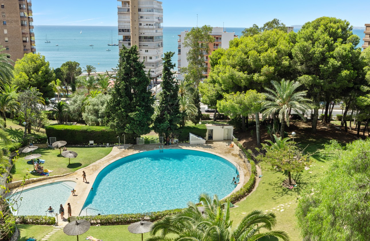 Rynek wtórny - Apartament - Alicante - Playa de la Albufereta