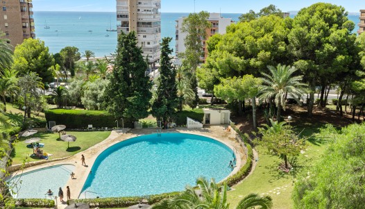 Rynek wtórny - Apartament - Alicante - Playa de la Albufereta