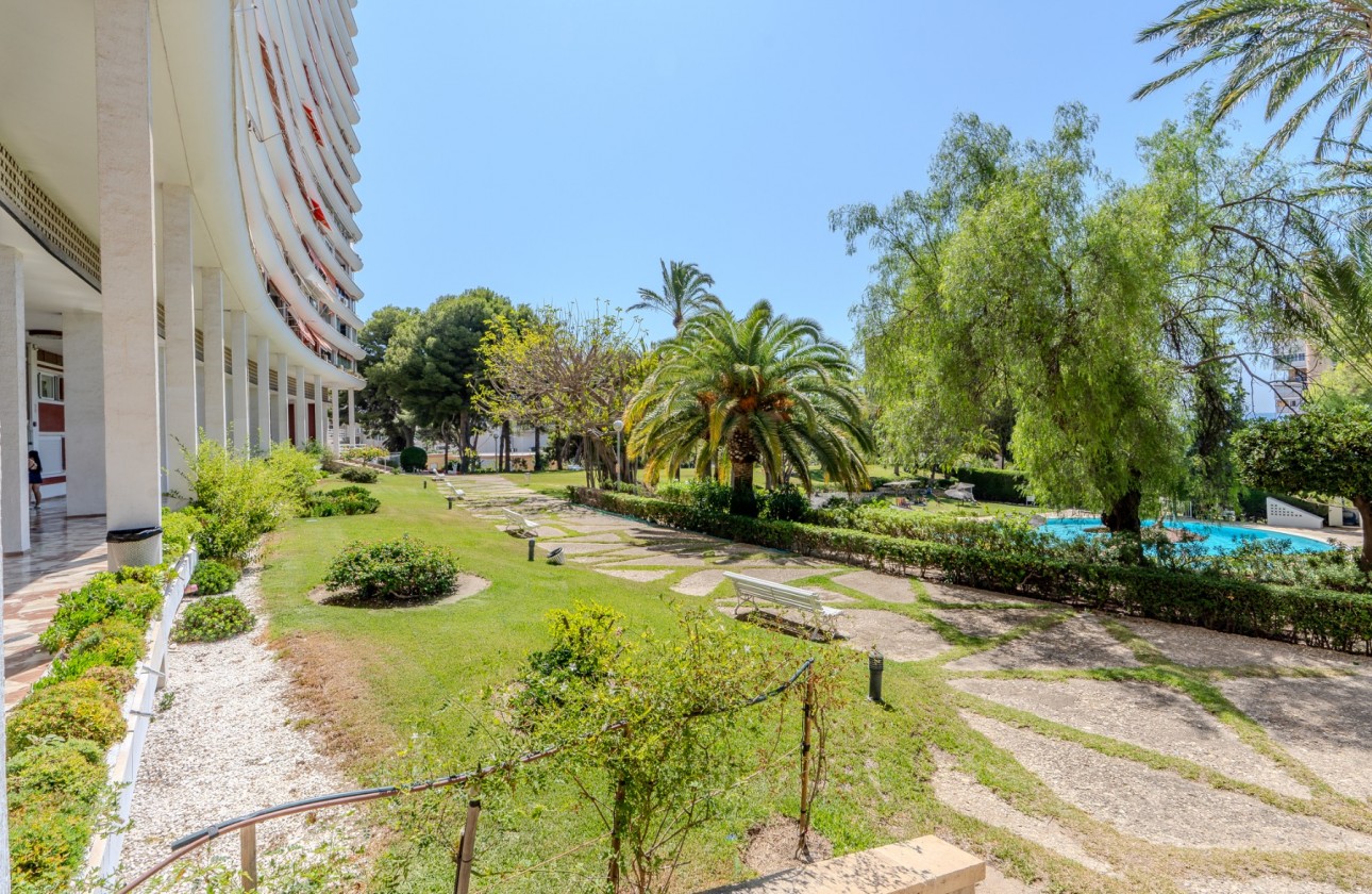 Rynek wtórny - Apartament - Alicante - Playa de la Albufereta