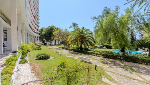 Rynek wtórny - Apartament - Alicante - Playa de la Albufereta