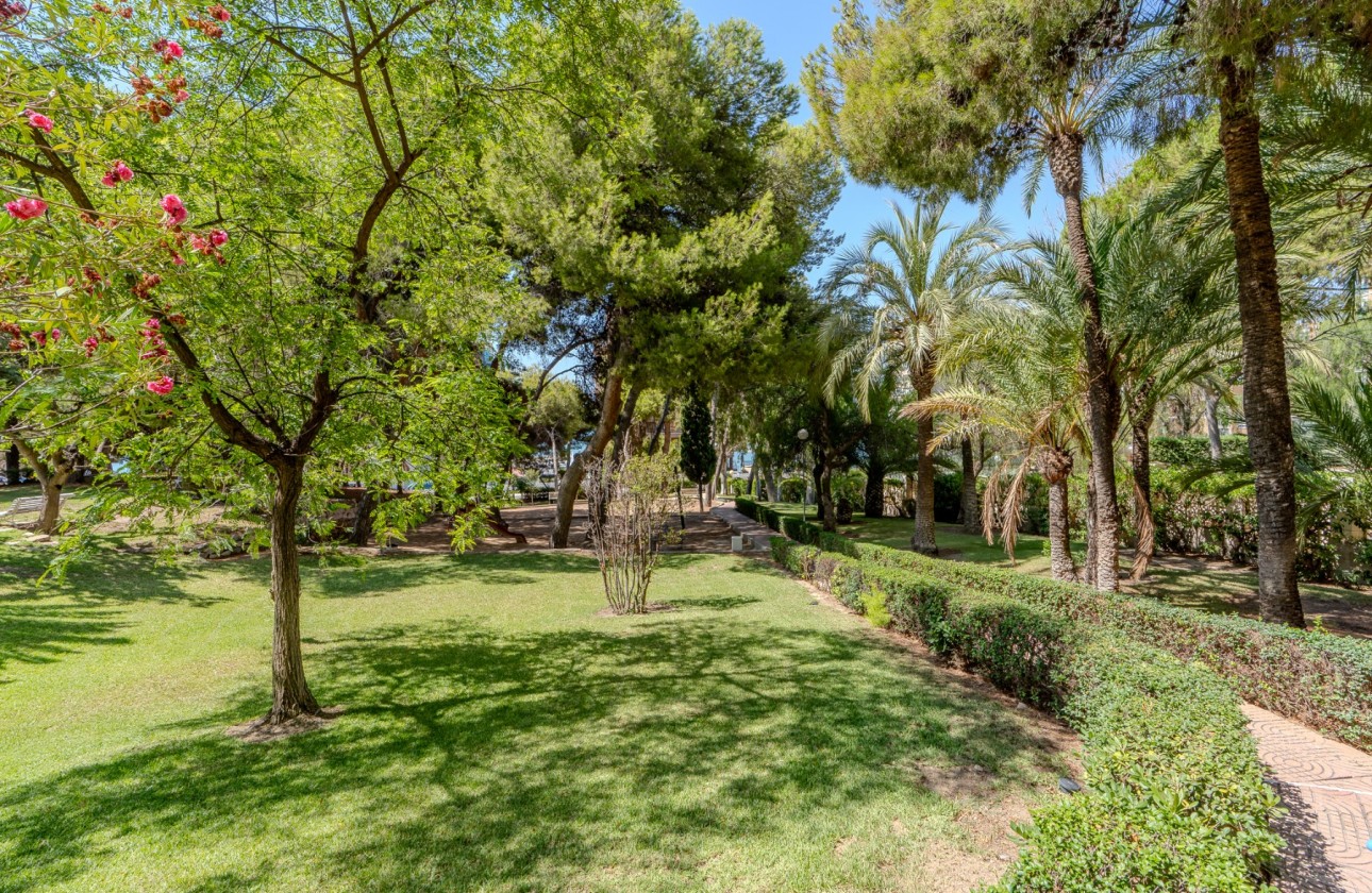 Rynek wtórny - Apartament - Alicante - Playa de la Albufereta