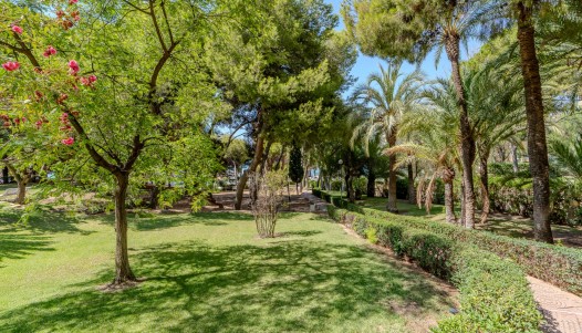 Rynek wtórny - Apartament - Alicante - Playa de la Albufereta