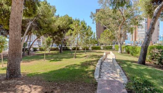 Rynek wtórny - Apartament - Alicante - Playa de la Albufereta