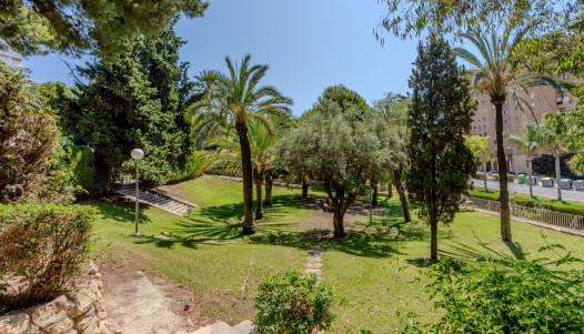 Rynek wtórny - Apartament - Alicante - Playa de la Albufereta