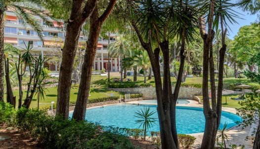 Rynek wtórny - Apartament - Alicante - Playa de la Albufereta