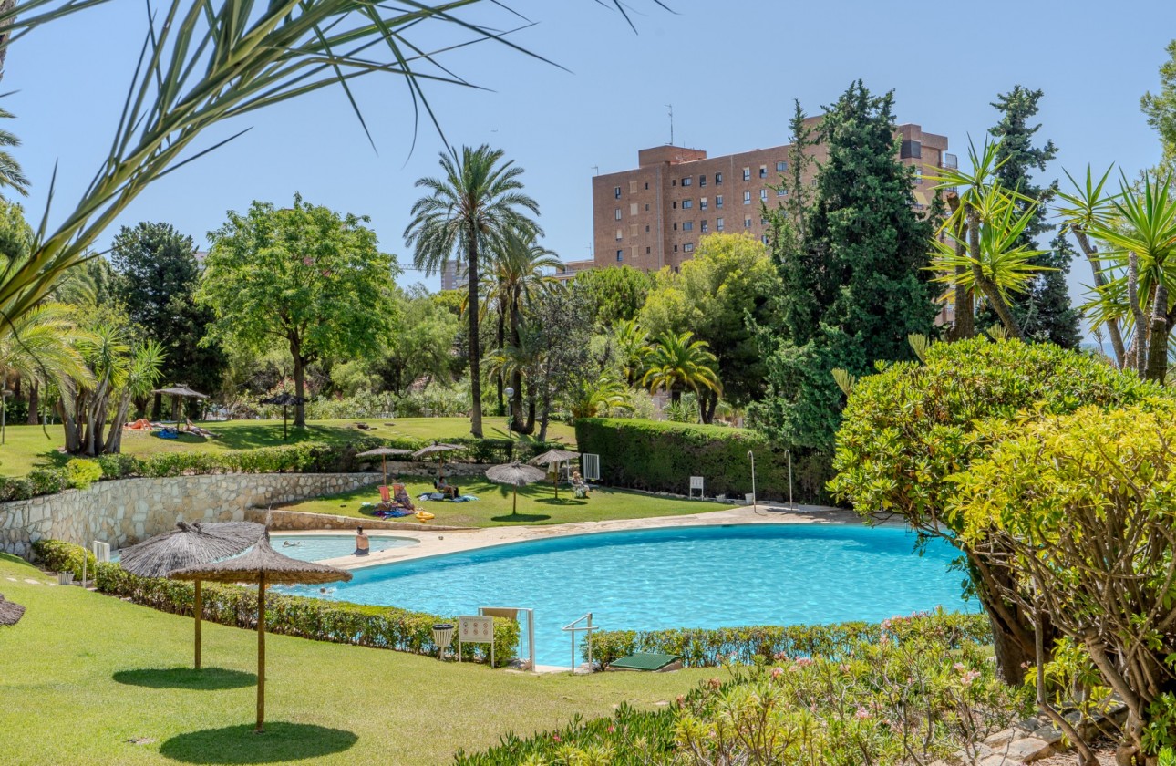 Rynek wtórny - Apartament - Alicante - Playa de la Albufereta